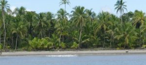 Indio Maiz Biological Reserve, Nicagragua.