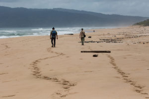 David and Barney walk down the beach in Ujung Kulon National Park, Java