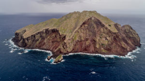 Redonda, months following the removal of rats and goats from the island