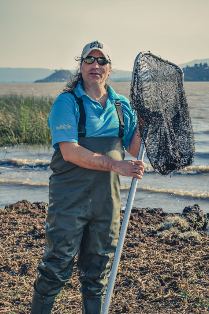 Q&A With Gerardo Garcia, Winner Of The 2018 Sabin Amphibian ...