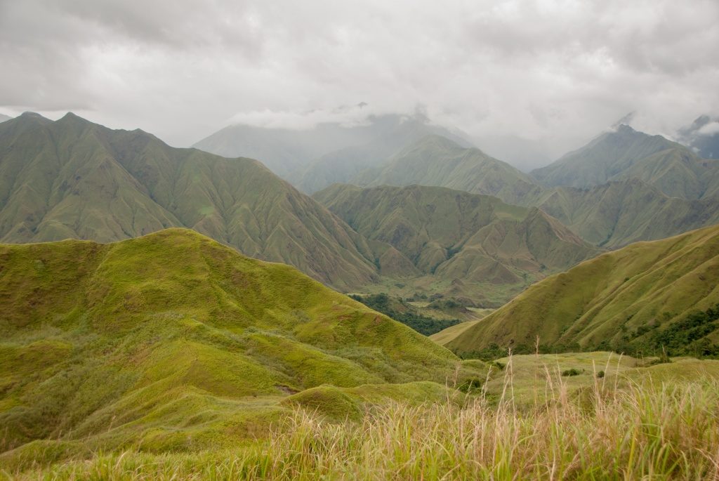 Tamaraw Adventures - Global Wildlife Conservation