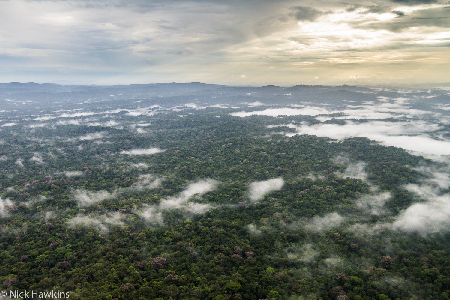 Photo Story: Creating A Protected Area Plan For Indio Maíz - Global ...