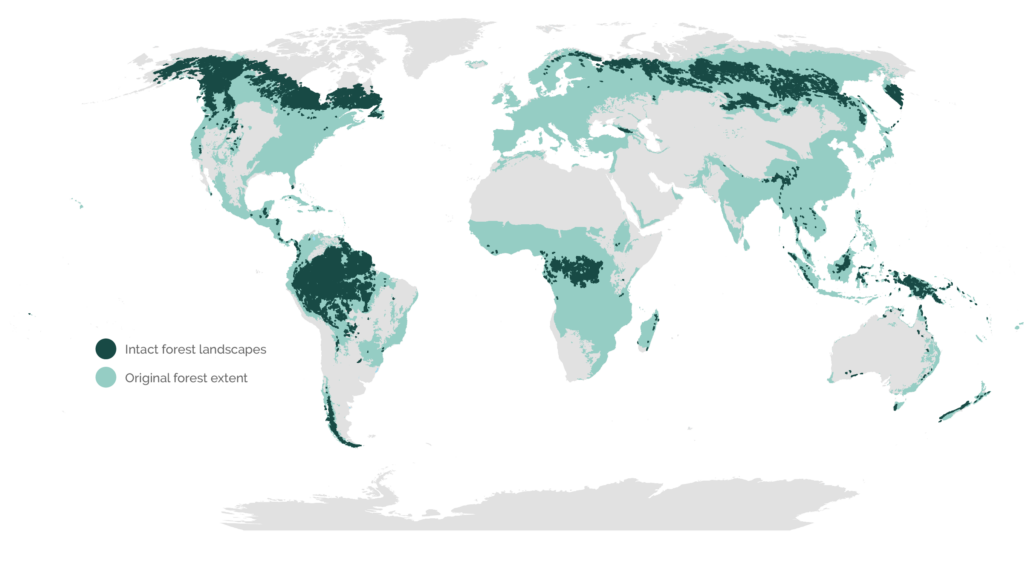 Forests for Life - Global Wildlife Conservation