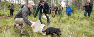 Wes and Adrian Grenier releasing a tasmanian devil