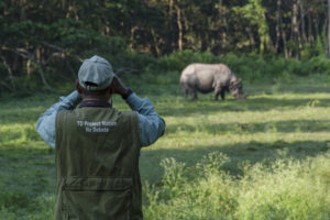 Ranger watching a rhino in a field through binoculars.