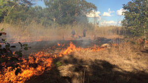 Controlled burn ahead of fire season.