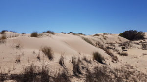 Sand dunes