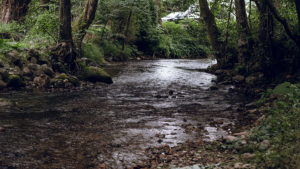 Kruščica River