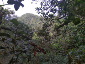 Mountains in Colombia