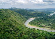 Moskitia Forest, Honduras. Photo courtesy of Laurie Hedges